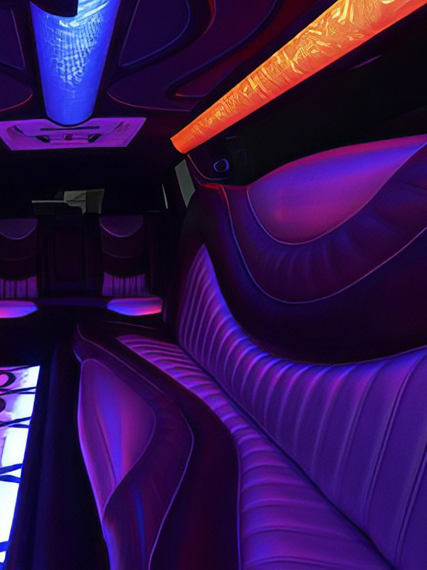 limo service ann arbor